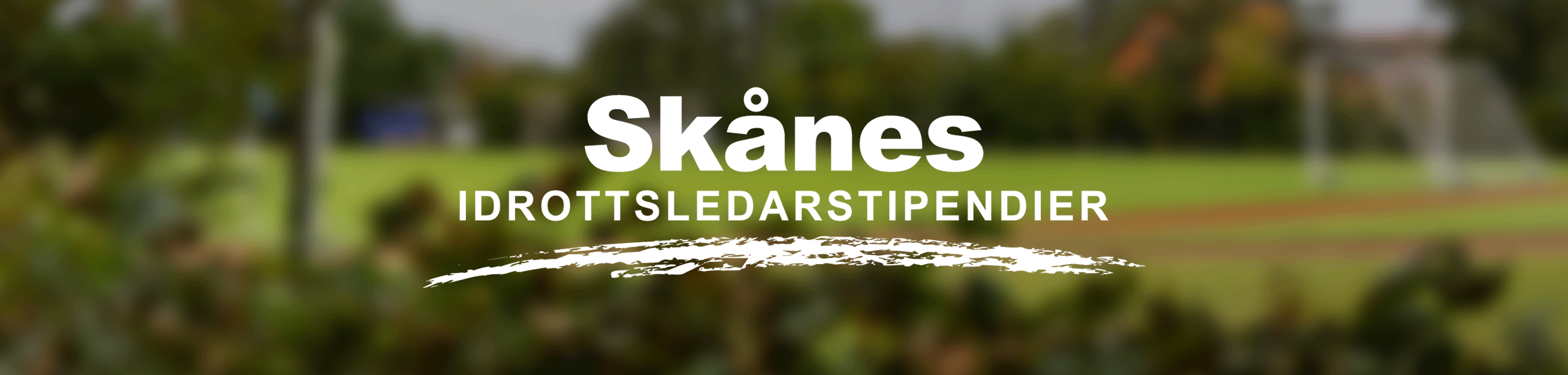 Skånes idrottsledarstipendier ett samarbete mellan RF-SISU Skåne, Swedbank och Sparbanken Skåne